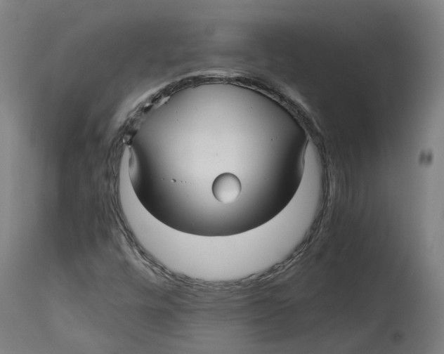 X0000114391448200911131332