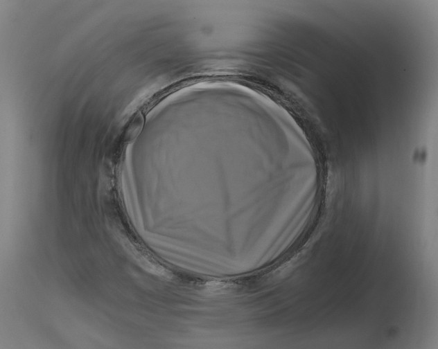 X0000114391449200911131332