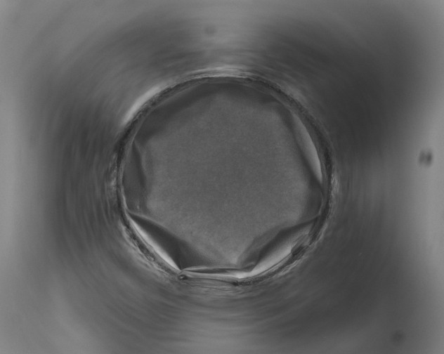 X0000114391450200911131332