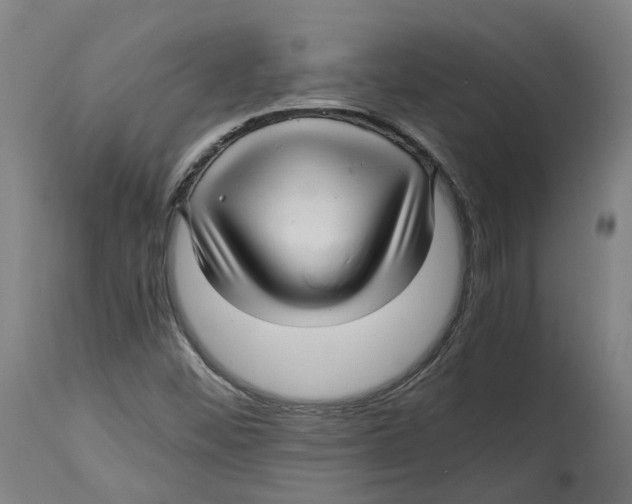 X0000114391452200911131332