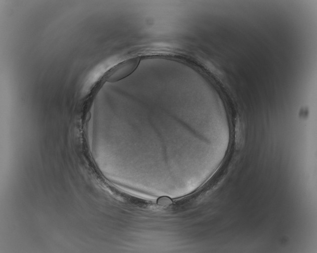 X0000114391453200911131332