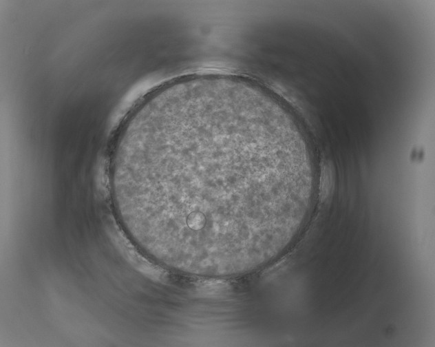X0000114391454200911131332