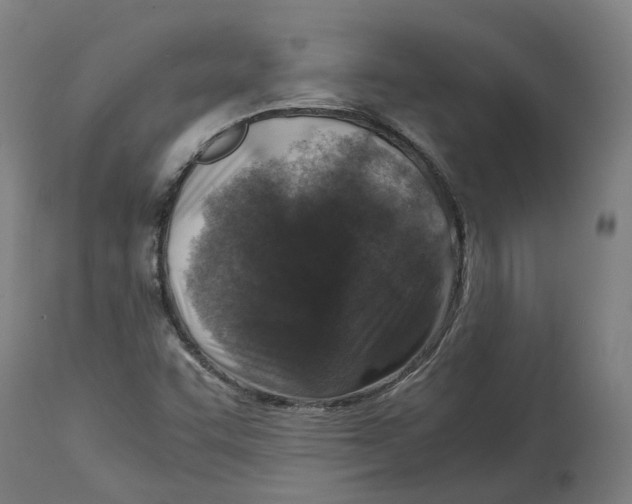 X0000114391455200911131332