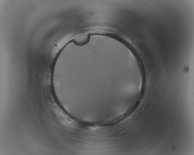 X0000114391459200911131332