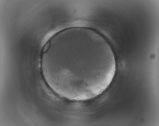 X0000114391461200911131332