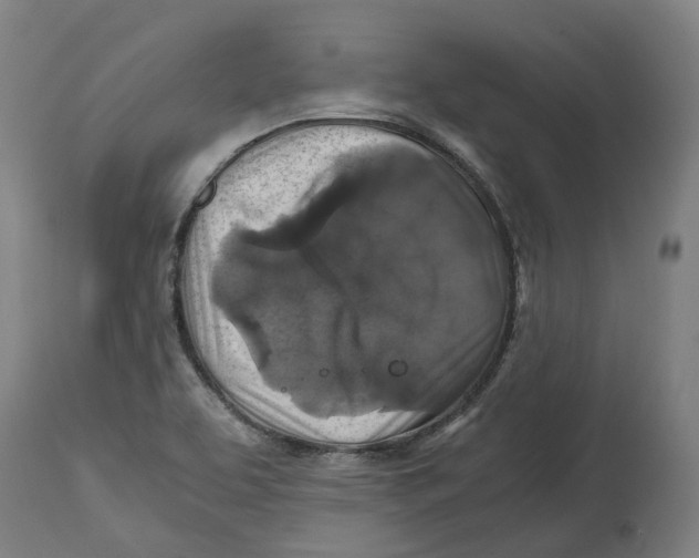 X0000114391463200911131332