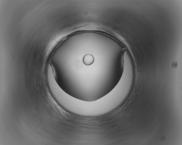 X0000114391464200911131332
