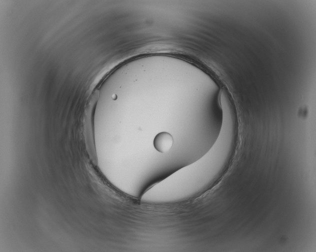 X0000114391465200911131332