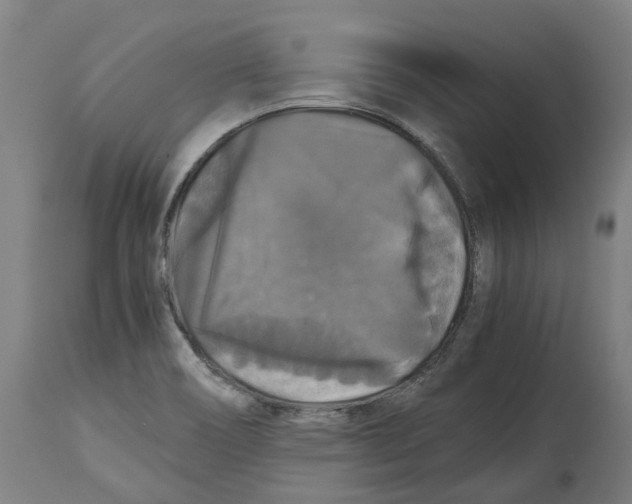 X0000114391466200911131332