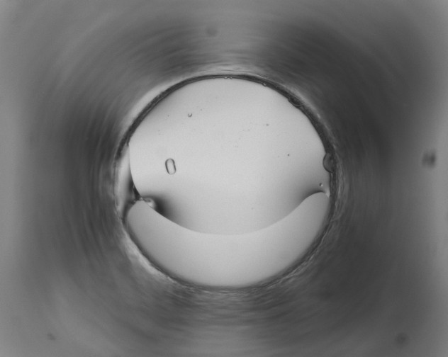 X0000114391468200911131332
