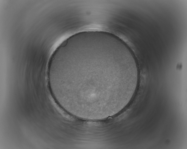X0000114391469200911131332