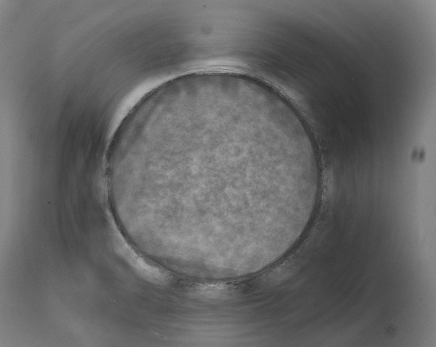 X0000114391470200911131332