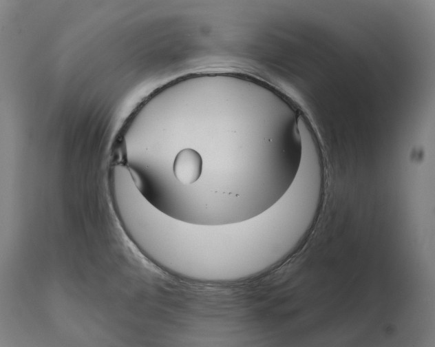 X0000114391472200911131332