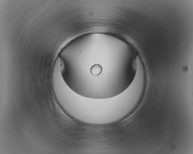 X0000114391473200911131332