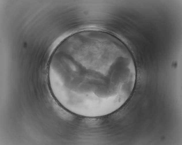 X0000114391474200911131332