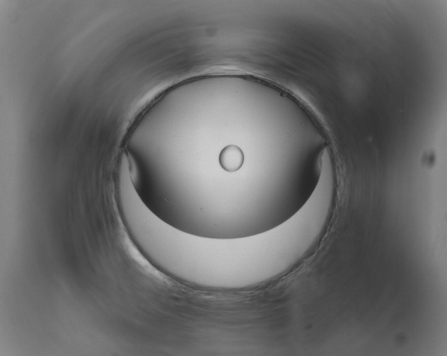 X0000114391476200911131332
