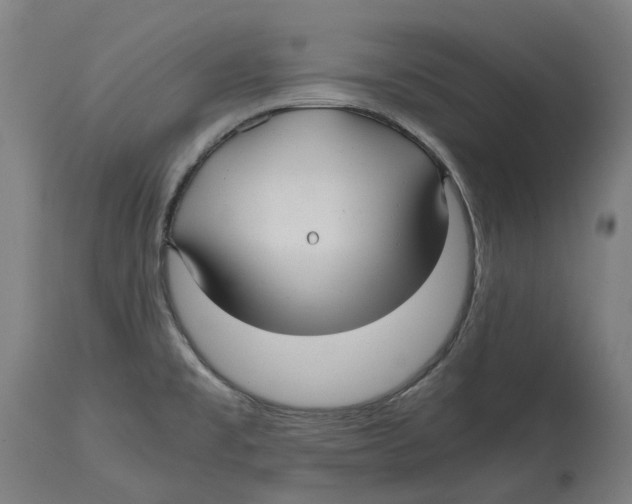 X0000114391477200911131332