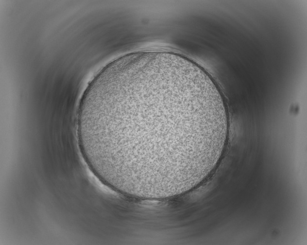 X0000114391478200911131332
