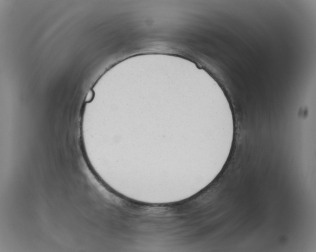 X0000114391479200911131332