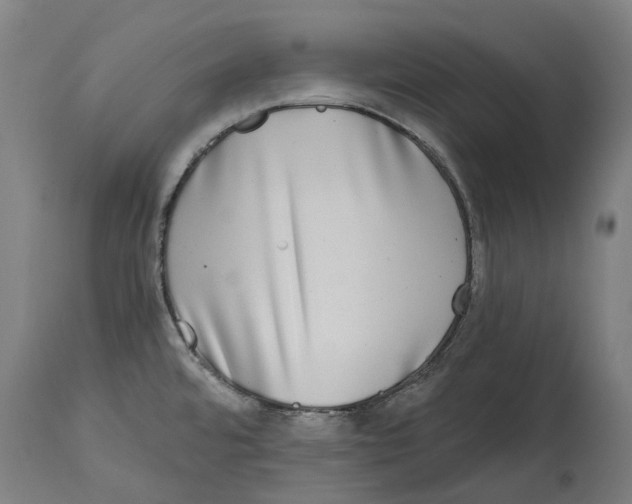 X0000114391480200911131332