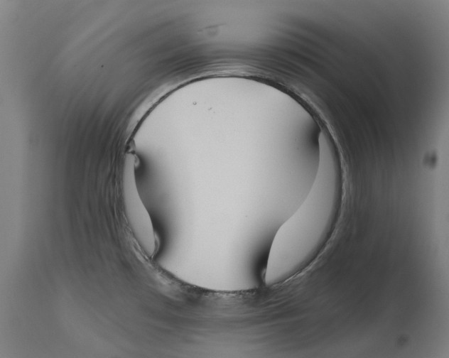 X0000114391481200911131331