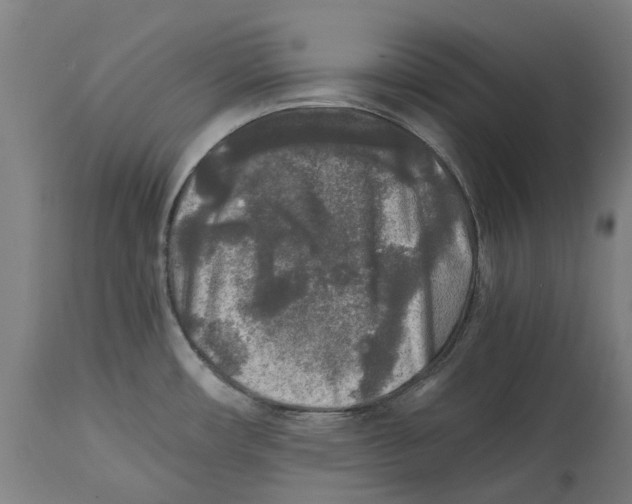 X0000114391482200911131331