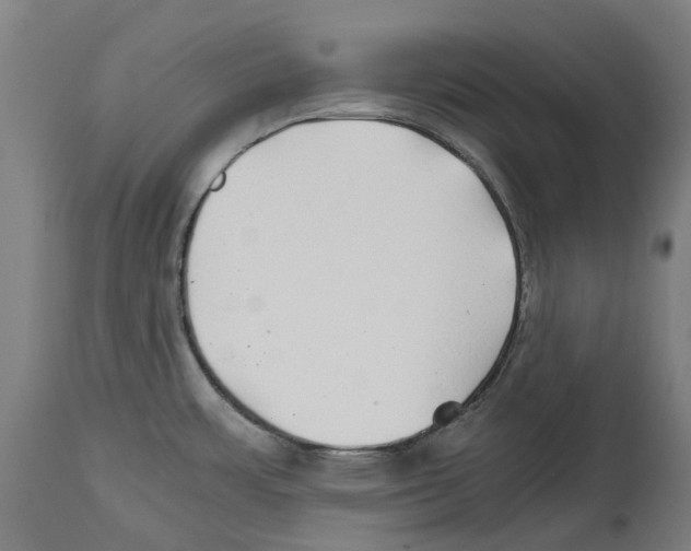 X0000114391483200911131331
