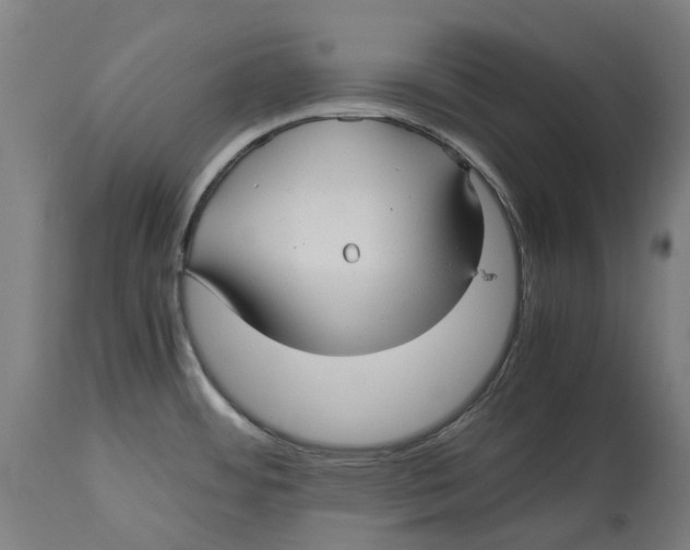 X0000114391484200911131331