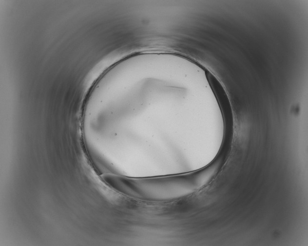 X0000114391485200911131331