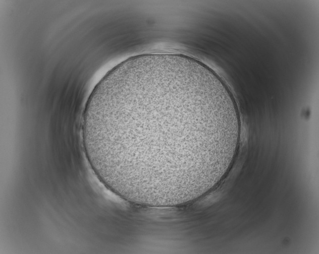 X0000114391486200911131331