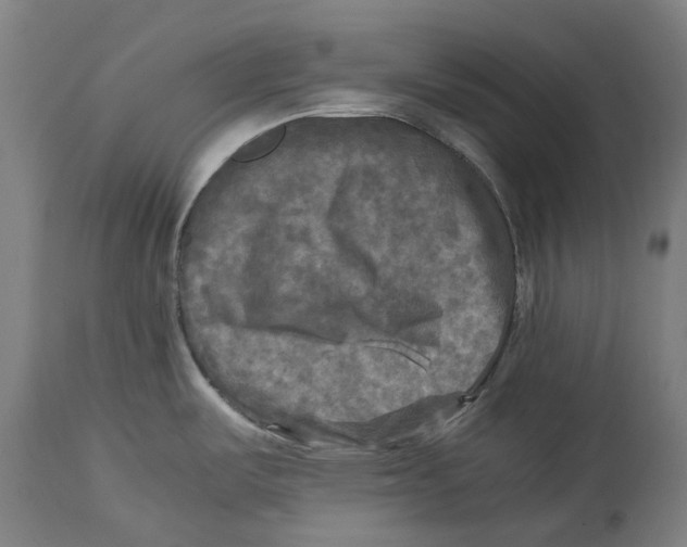 X0000114391487200911131331