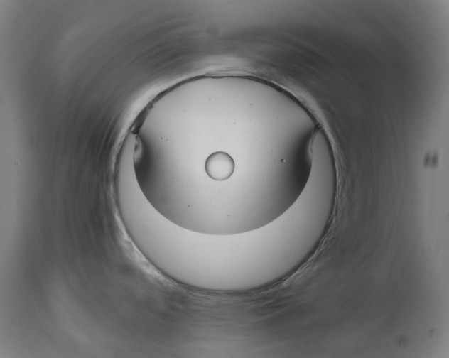 X0000114391488200911131331