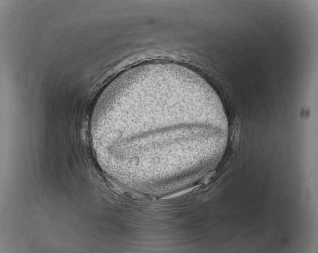 X0000114391490200911131331
