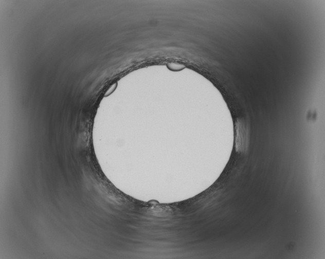 X0000114391491200911131331