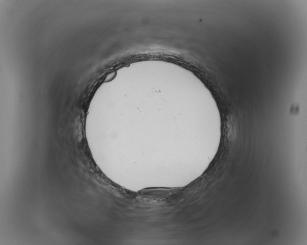 X0000114391493200911131331