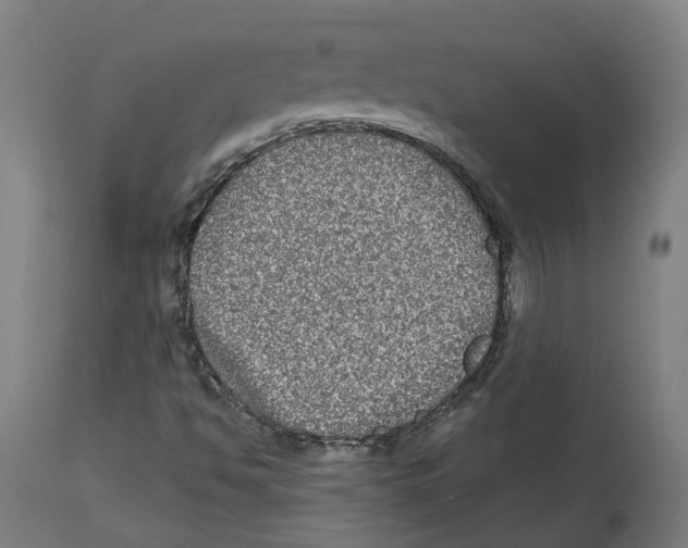 X0000114391494200911131331