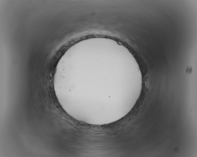 X0000114391495200911131331