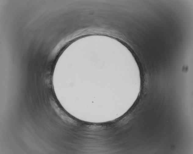 X0000114391499200911131331