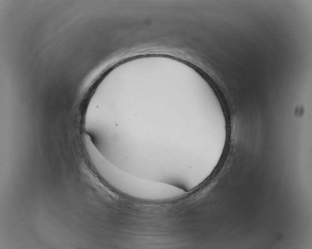 X0000114391502200911131331