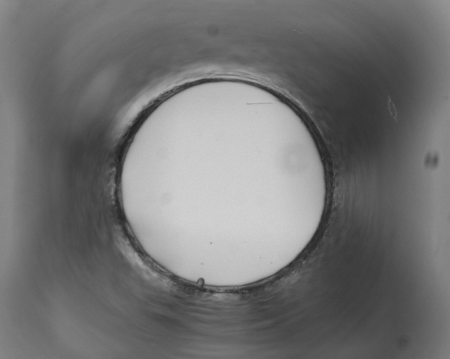 X0000114391503200911131331
