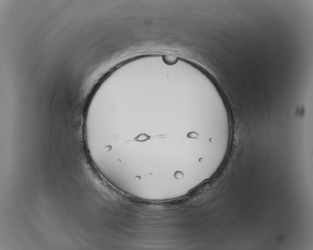 X0000114391507200911131331