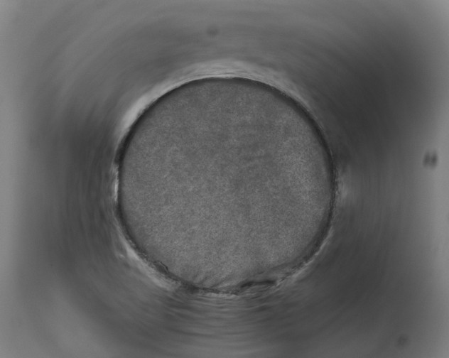 X0000114391509200911131331