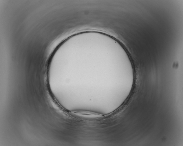 X0000114391511200911131331