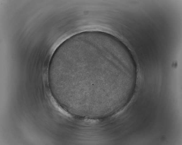 X0000114391513200911131331