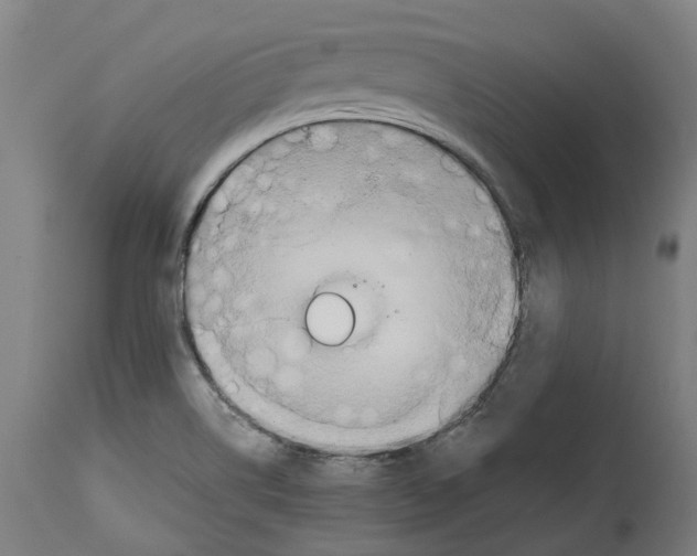 X0000114391514200911131331