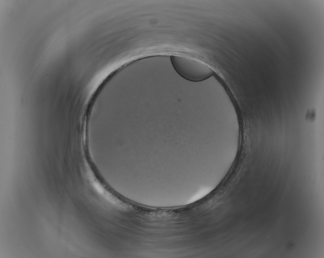 X0000114391515200911131331