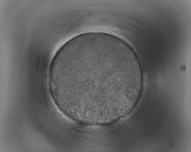 X0000114391517200911131331