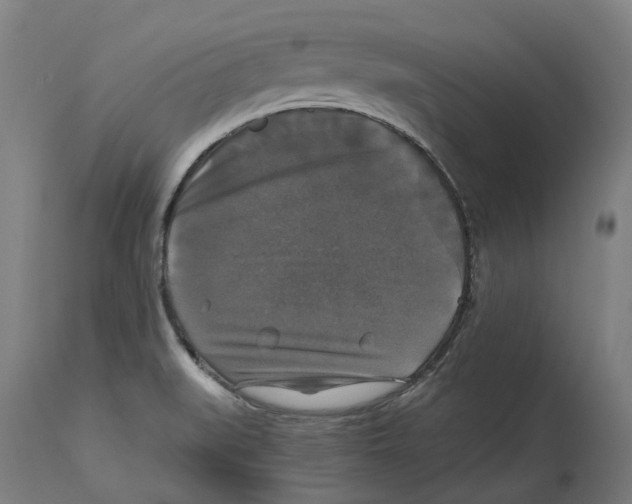 X0000114391519200911131331