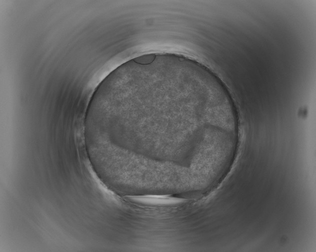 X0000114391521200911131331