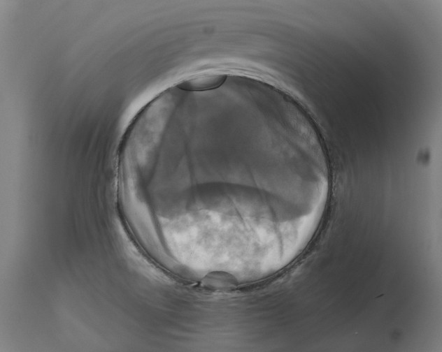 X0000114391522200911131331